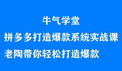 牛气学堂拼多多打造爆款系统实战课，老陶带你轻松打造爆款-自由之翼资源网