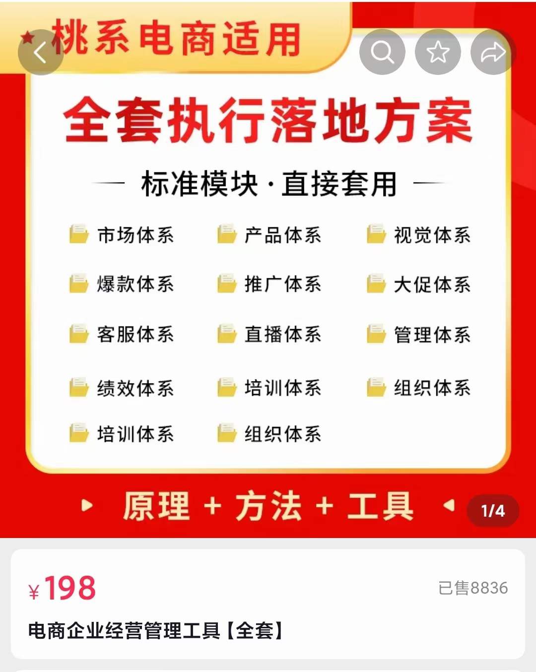 外面卖198·电商企业经营管理工具：全套执行落地方案 标准模块·直接套用-自由之翼资源网