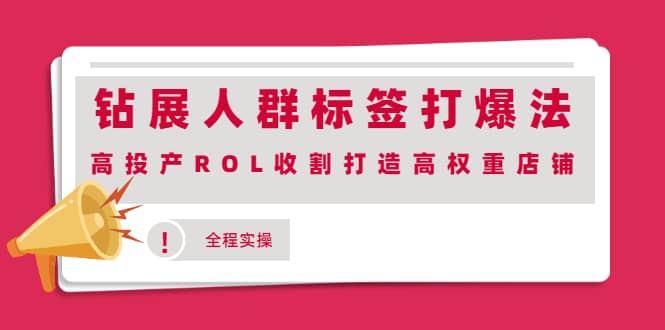 钻展人群标签打爆法，高投产ROL收割打造高权重店铺(全程实操)-自由之翼资源网