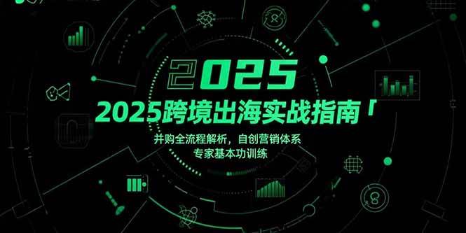 （15503期）2025跨境出海实战指南，并购全流程解析，自创营销体系，专家基本功训练-自由之翼资源网