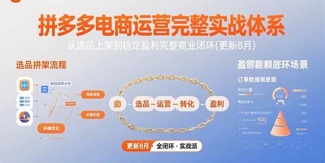 （15579期）拼多多电商运营完整实战体系，从选品上架到稳定盈利完整商业闭环(更新8月)-自由之翼资源网