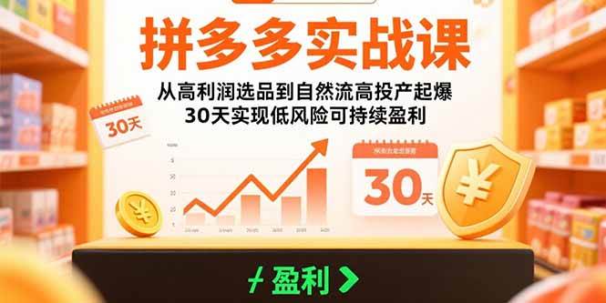 （15586期）拼多多实战课：从高利润选品到自然流高投产起爆 30天实现低风险可持续盈利-自由之翼资源网