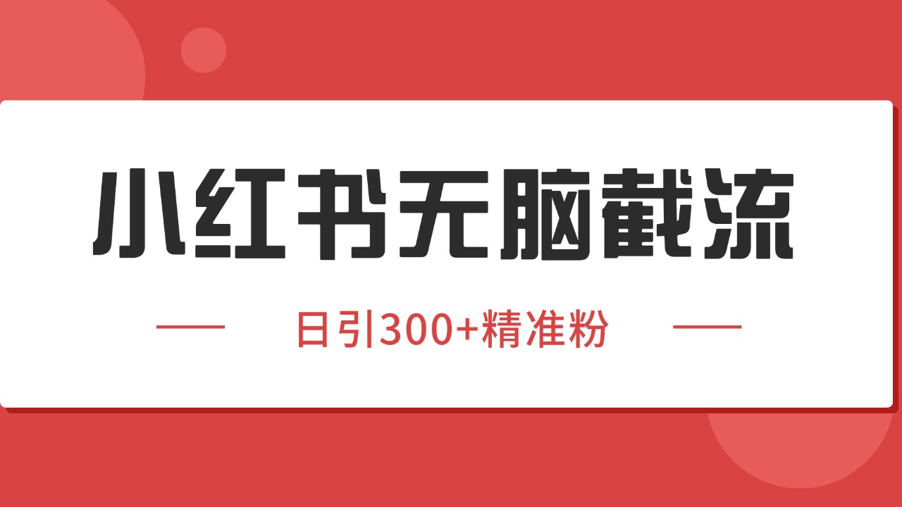 小红书截流同行客源,独家野路子获客玩法 日引200+暴力获客-自由之翼资源网