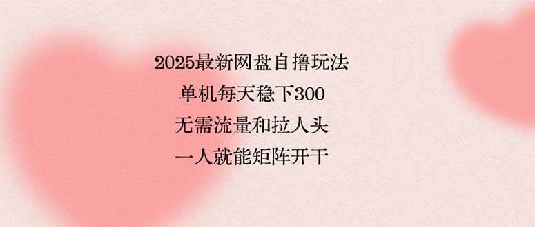 （15831期）2025最新网盘自撸玩法，单机每天稳下3张，无需流量和拉人头，一个人就…-自由之翼资源网