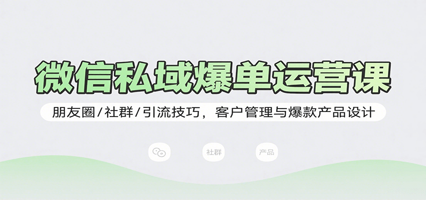 微信私域爆单运营课：朋友圈/社群/引流技巧，客户管理与爆款产品设计-自由之翼资源网