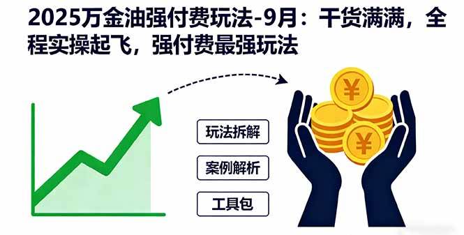 （16202期）2025万金油强付费玩法-9月：干货满满，全程实操起飞，强付费最强玩法-自由之翼资源网