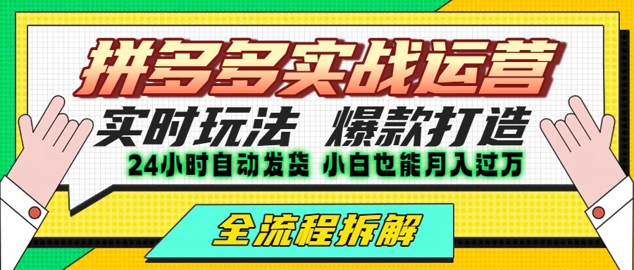 拼多多最新实战运营高投产:长久稳定项目,单店利润一天三位数-自由之翼资源网