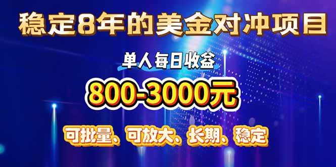 （15782期）稳定8年的美金对冲创业项目，单人每日收益800-3000，小众暴力项目-自由之翼资源网
