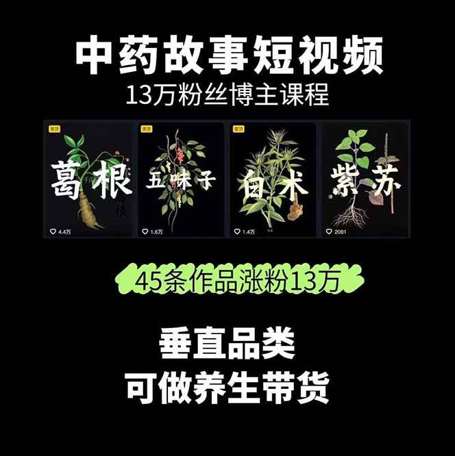 中药文化赛道：溯源故事开发，AI工具实战，平台运营，全方位解锁中医流量变现新路径-自由之翼资源网