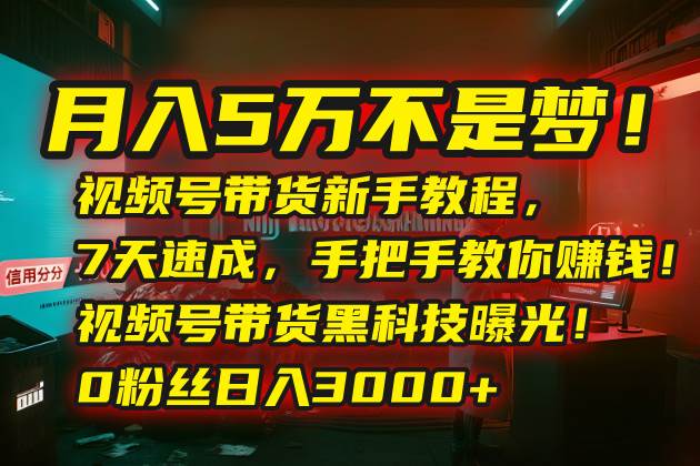 （15595期）月入5万不是梦！视频号带货新手教程，7天速成，手把手教你赚钱！视频号…-自由之翼资源网