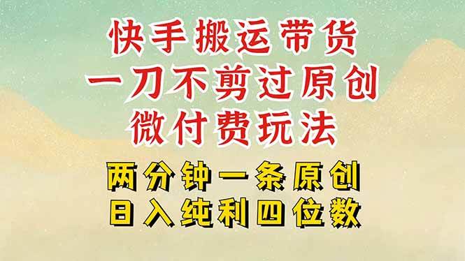 （15577期）快手黑科技搬运带货，一刀不剪过原创，微付费投流玩法，轻松日入四位数…-自由之翼资源网