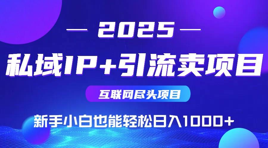 （15531期）2025网创尽头项目，私域IP+引流，新手小白也能在家日入1000+-自由之翼资源网