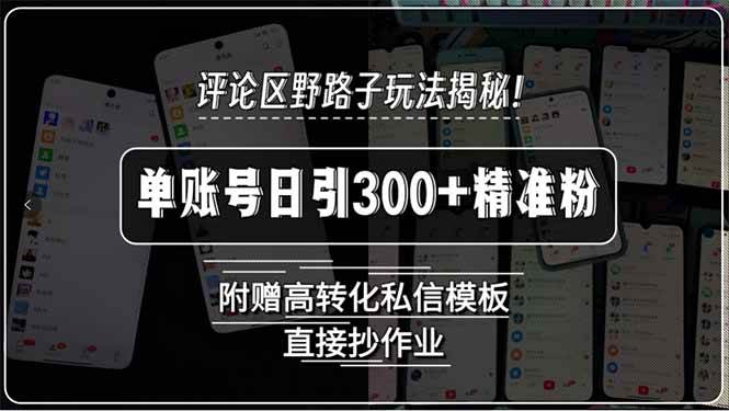 （15466期）评论区野路子玩法揭秘！单账号日引300+精准粉，附赠高转化私信模板，直…-自由之翼资源网