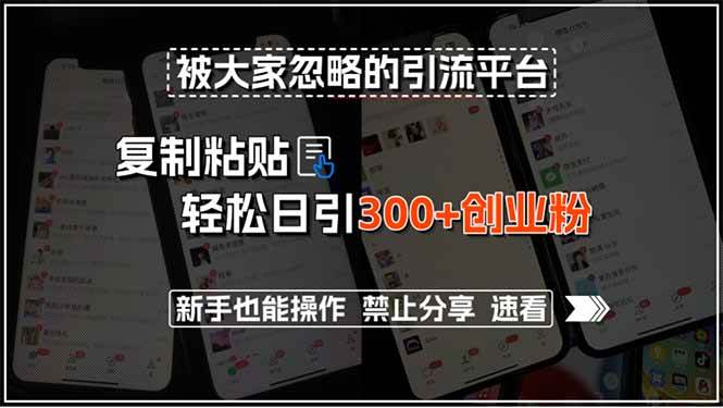 （15428期）被大家忽略的引流平台，复制粘贴轻松日引300+创业粉，新手也能操作，禁…-自由之翼资源网