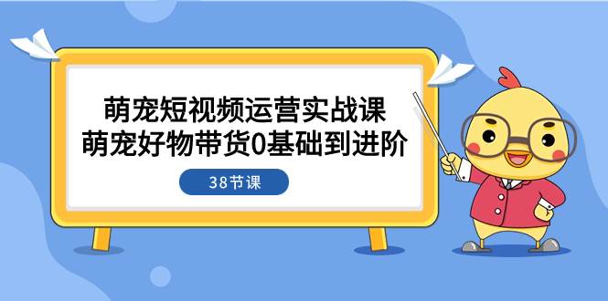 萌宠·短视频运营实战课：萌宠好物带货0基础到进阶（38节课）-自由之翼资源网
