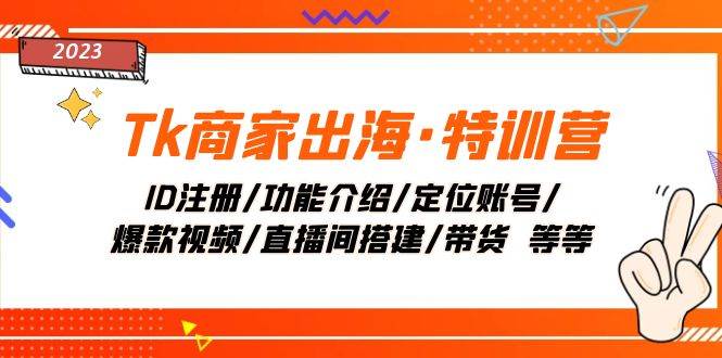 Tk商家出海·特训营：ID注册/功能介绍/定位账号/爆款视频/直播间搭建/带货-自由之翼资源网
