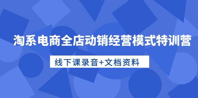 淘系电商全店动销经营模式特训营，线下课录音+文档资料