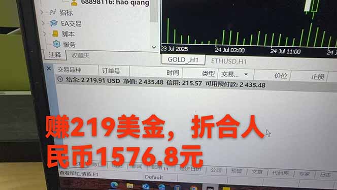 稳定8年的美刀搬砖项目，单人每日收益800—3000.团队4人月入10W+.可线下-自由之翼资源网