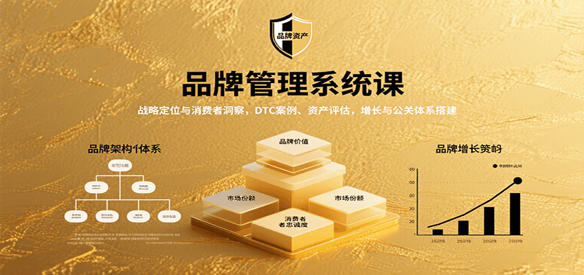 品牌管理系统课：战略定位与消费者洞察，DTC案例、资产评估，增长与公关体系搭建-自由之翼资源网