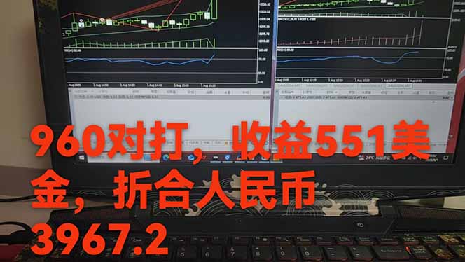 稳定8年的美刀搬砖项目，单人每日收益800—3000.团队4人月入10W+.可线下-自由之翼资源网
